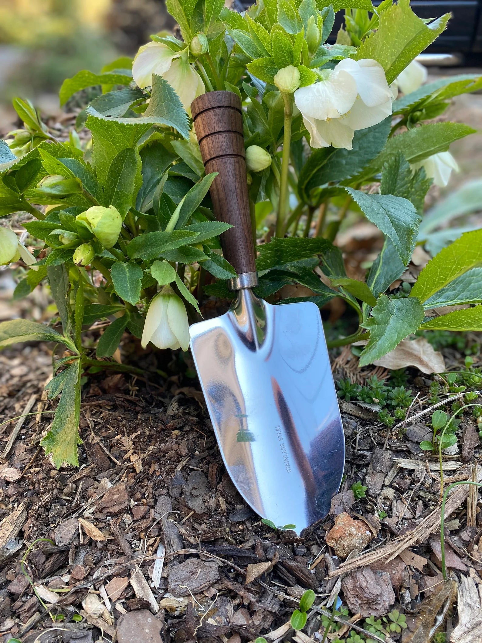 Bear Dog Designs Garden Tools - Sow True Seed