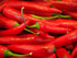 Hot Pepper Seeds - Gochugaru, ORGANIC