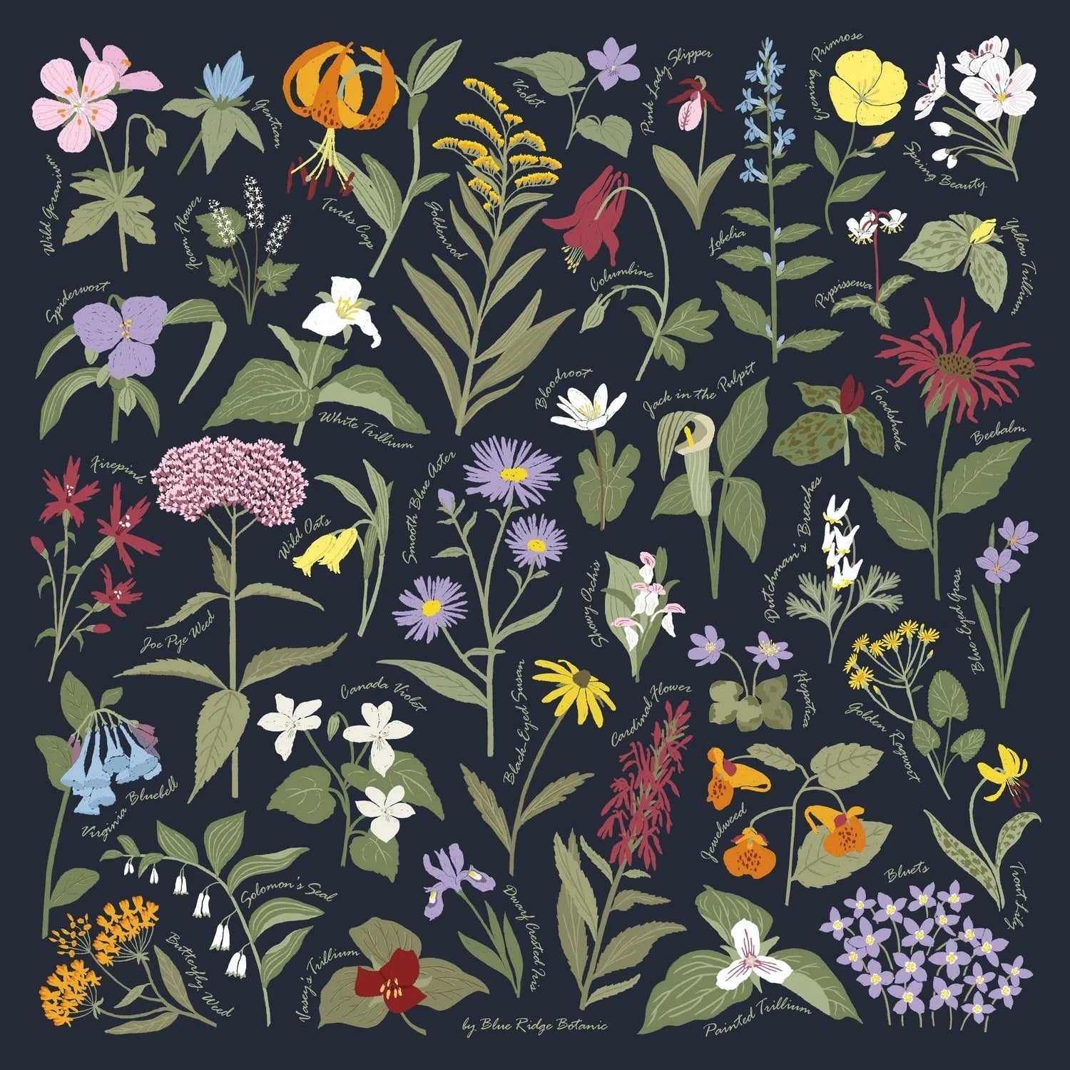 Blue Ridge Botanic Field Guide Bandanas - Sow True Seed