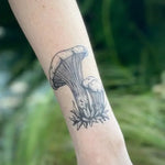 NatureTats Temporary Tattoos - Sow True Seed