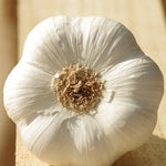 Music Hardneck Garlic - Sow True Seed