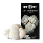 Lion's Mane Spray and Grow Mushroom Kit - Sow True Seed