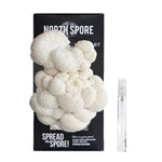 Lion's Mane Spray and Grow Mushroom Kit - Sow True Seed