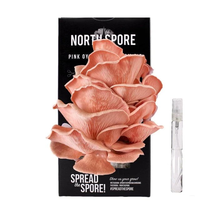 Pink Oyster Spray and Grow Mushroom Kit - Sow True Seed