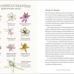 The Milkweed Lands - Sow True Seed