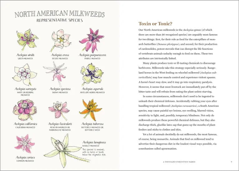 The Milkweed Lands - Sow True Seed