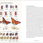 The Milkweed Lands - Sow True Seed