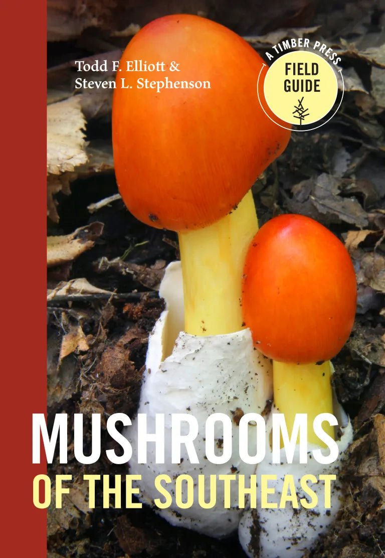 Mushrooms of the Southeast - Sow True Seed