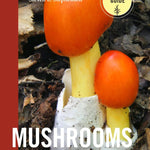 Mushrooms of the Southeast - Sow True Seed