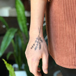 NatureTats Temporary Tattoos - Sow True Seed