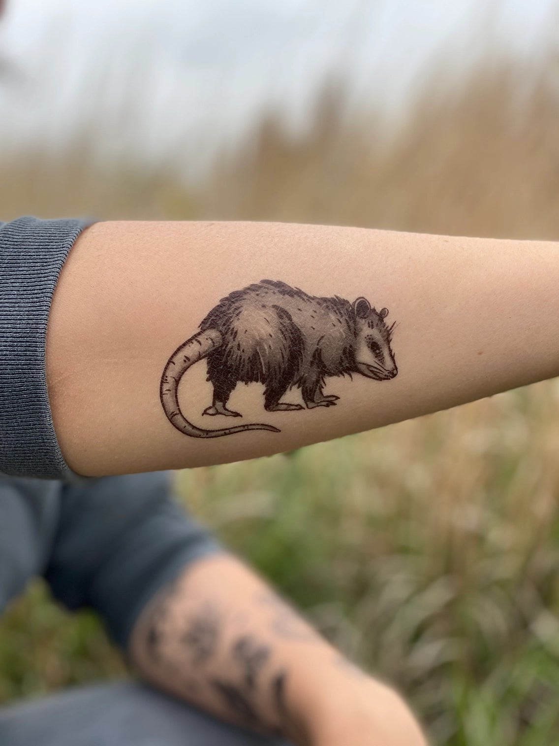 NatureTats Temporary Tattoos - Sow True Seed