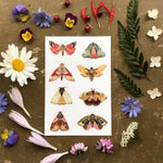 Polanshek of the Hills Sticker Sheets - Sow True Seed