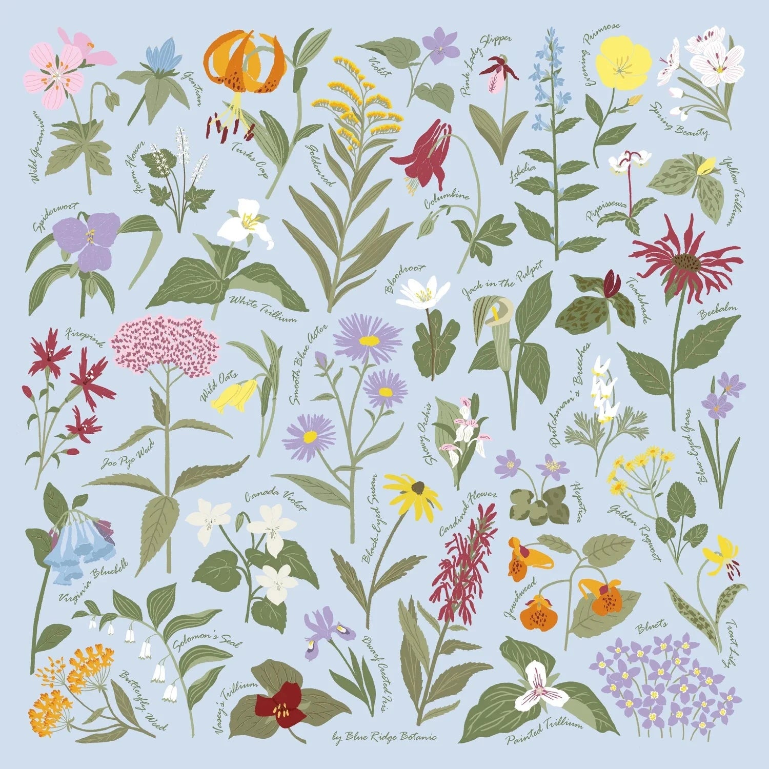 Blue Ridge Botanic Field Guide Bandanas - Sow True Seed