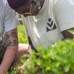 Sow True Seed Logo T-Shirt - Sow True Seed