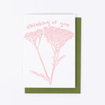 Macon York Cards - Sow True Seed