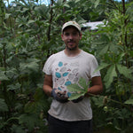 The Whole Okra: A Stem to Seed Celebration (signed copy!) - Sow True Seed