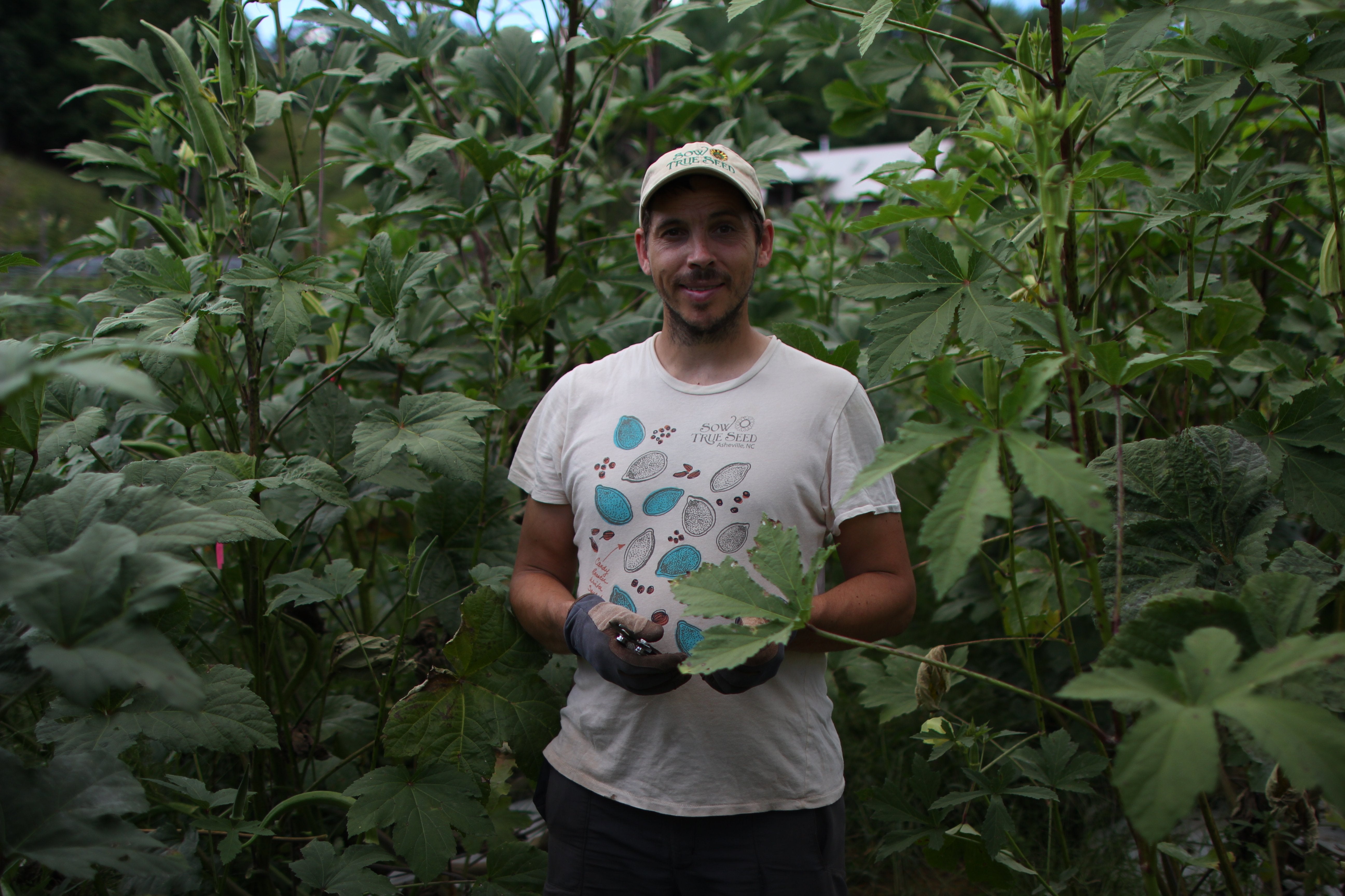 The Whole Okra: A Stem to Seed Celebration (signed copy!) - Sow True Seed