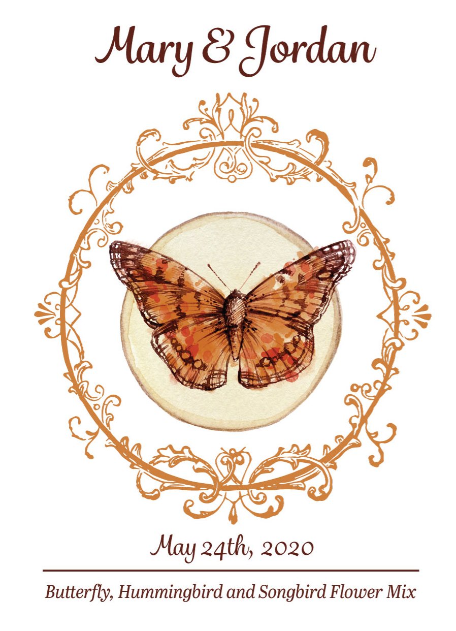 Pre-Designed Template - Orange Butterfly Oval - Sow True Seed
