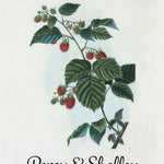Pre-Designed Template - Raspberry - Sow True Seed