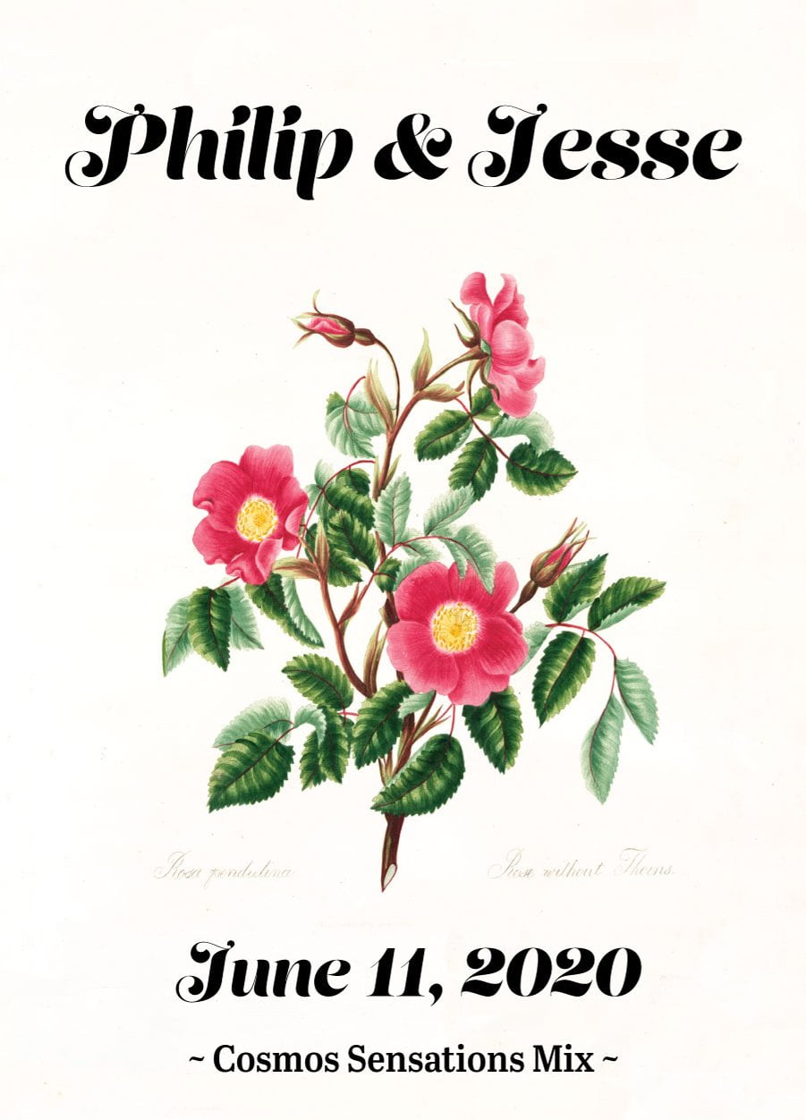 Pre-Designed Template - Thornless Rose - Sow True Seed