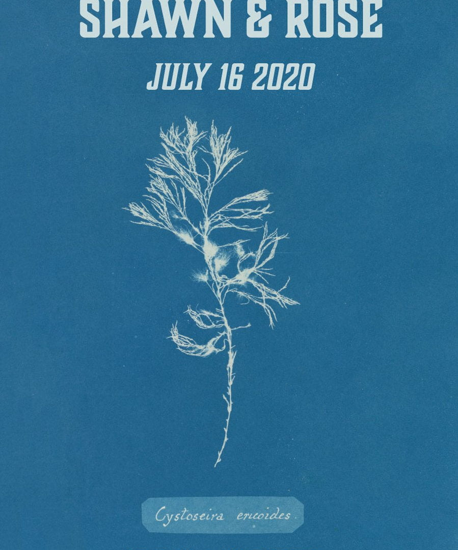 Pre-Designed Template - Cyanotype Algae - Sow True Seed