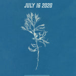 Pre-Designed Template - Cyanotype Algae - Sow True Seed