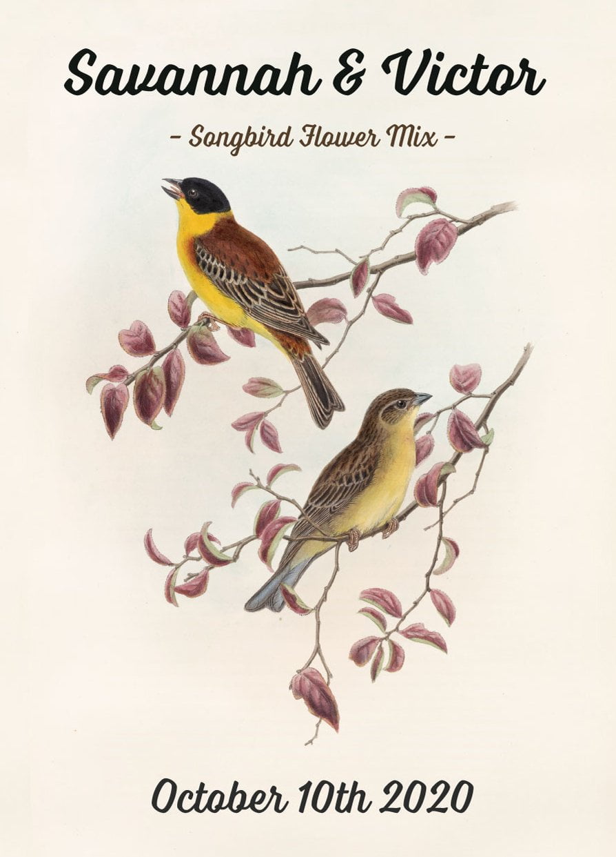 Pre-Designed Template - Two Birds - Sow True Seed