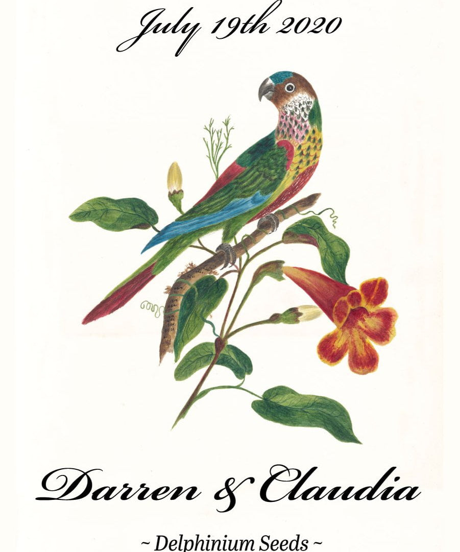 Pre-Designed Template - Parakeet - Sow True Seed