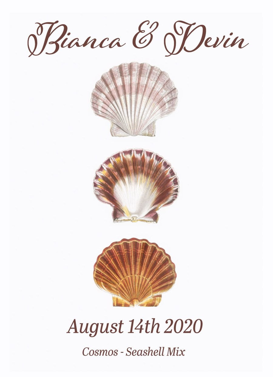 Pre-Designed Template - Seashell - Sow True Seed