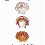 Pre-Designed Template - Seashell - Sow True Seed