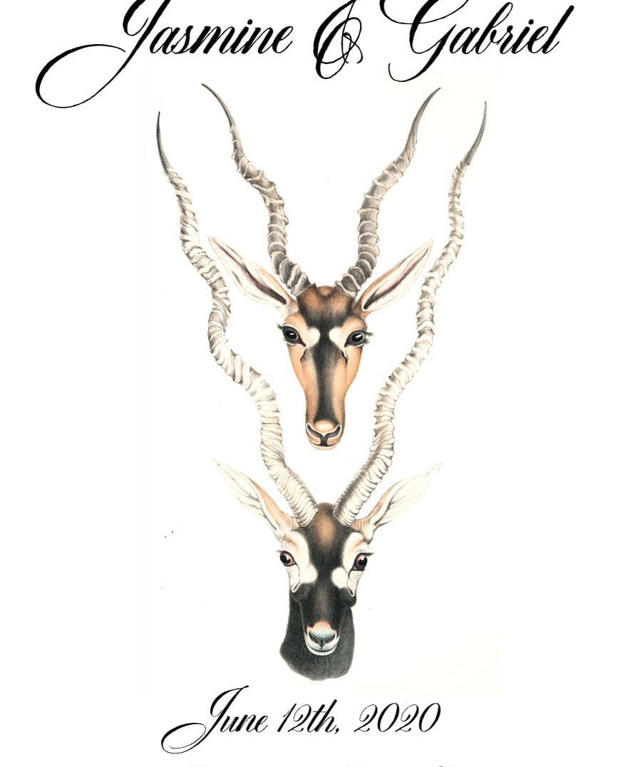 Pre-Designed Template - Antelope - Sow True Seed