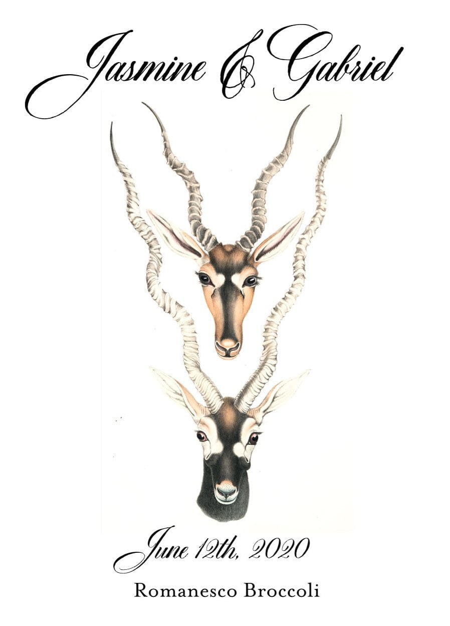 Pre-Designed Template - Antelope - Sow True Seed