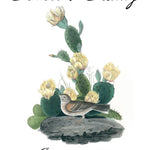 Pre-Designed Template - Prickly Pear Cactus - Sow True Seed