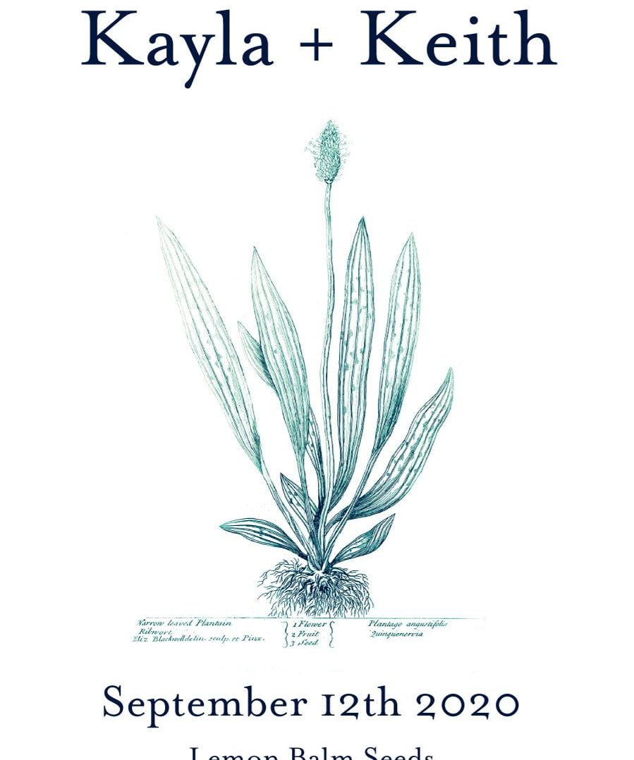Pre-Designed Template - Plantain - Sow True Seed