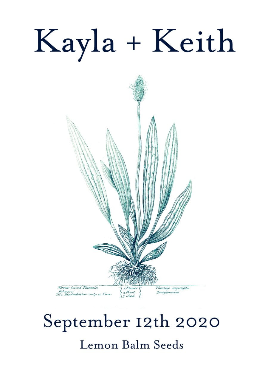 Pre-Designed Template - Plantain - Sow True Seed