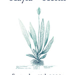 Pre-Designed Template - Plantain - Sow True Seed