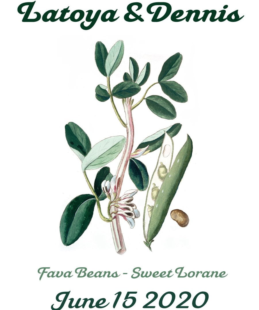 Pre-Designed Template - Fava Bean - Sow True Seed