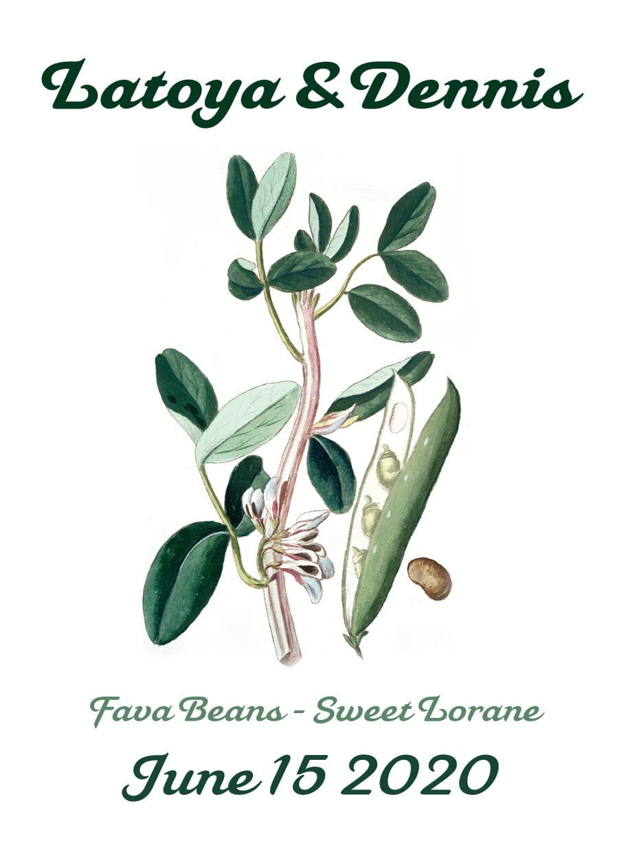 Pre-Designed Template - Fava Bean - Sow True Seed