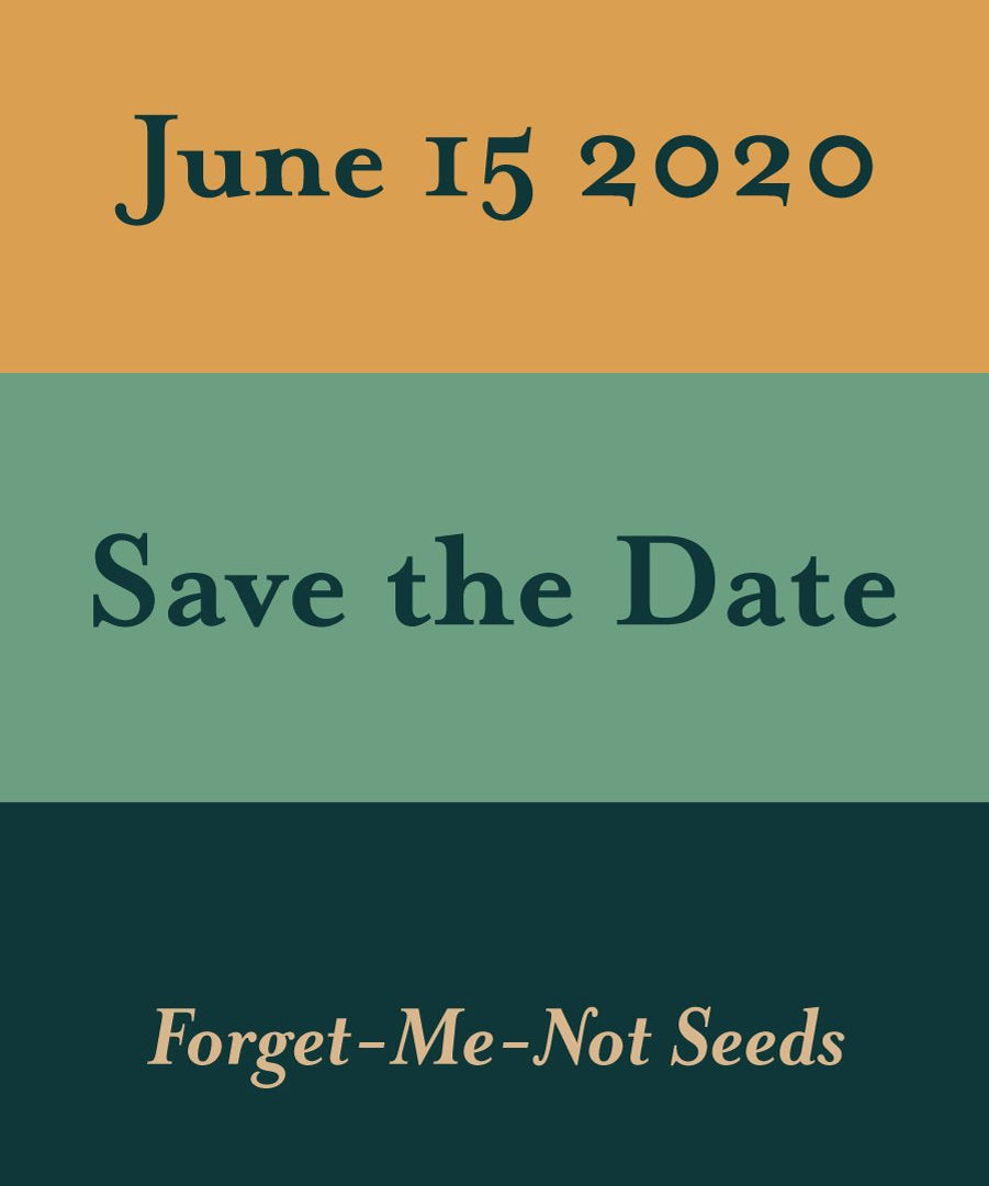 Pre-Designed Template - Color Blocks - Sow True Seed