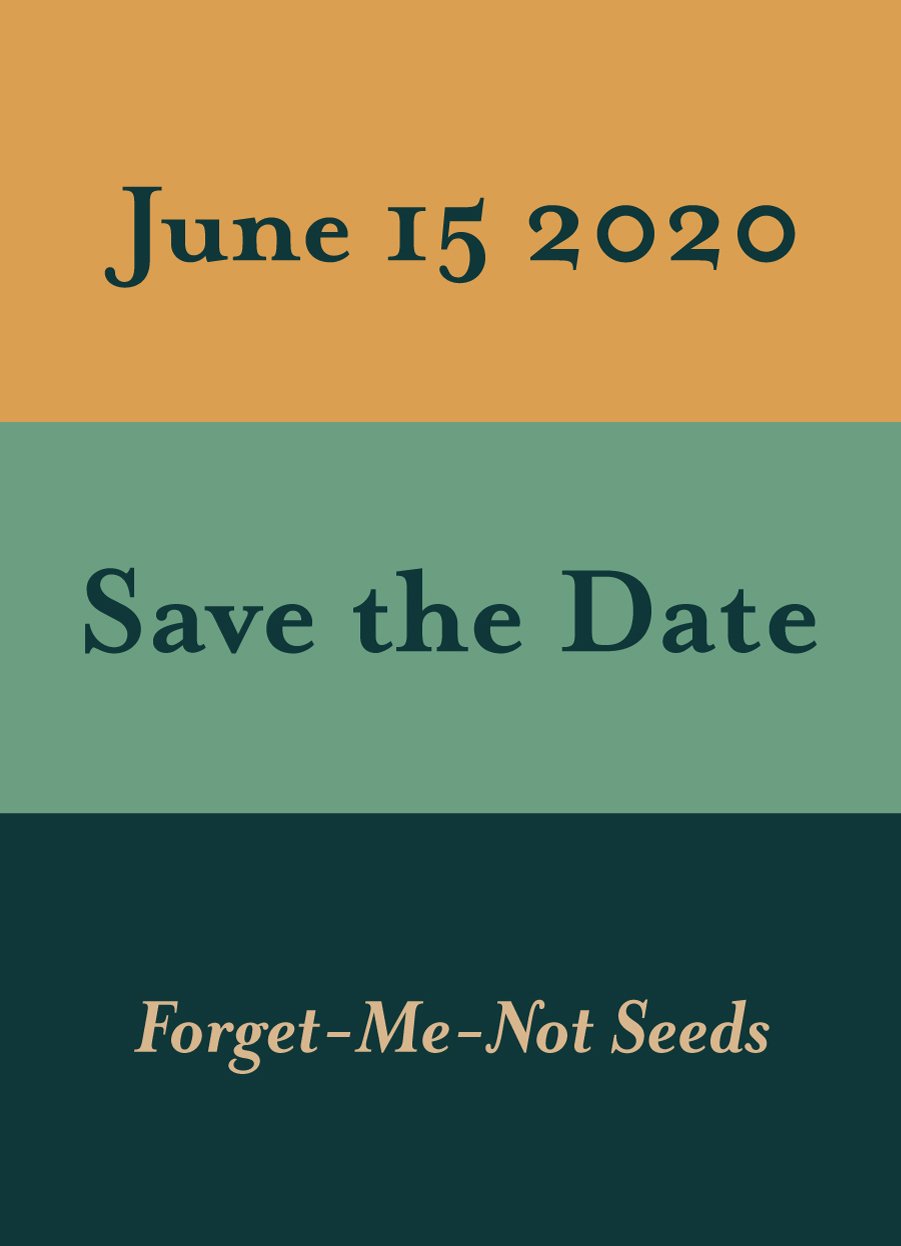 Pre-Designed Template - Color Blocks - Sow True Seed