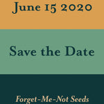Pre-Designed Template - Color Blocks - Sow True Seed