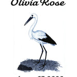 Pre-Designed Template - Stork Birth Announcement - Sow True Seed