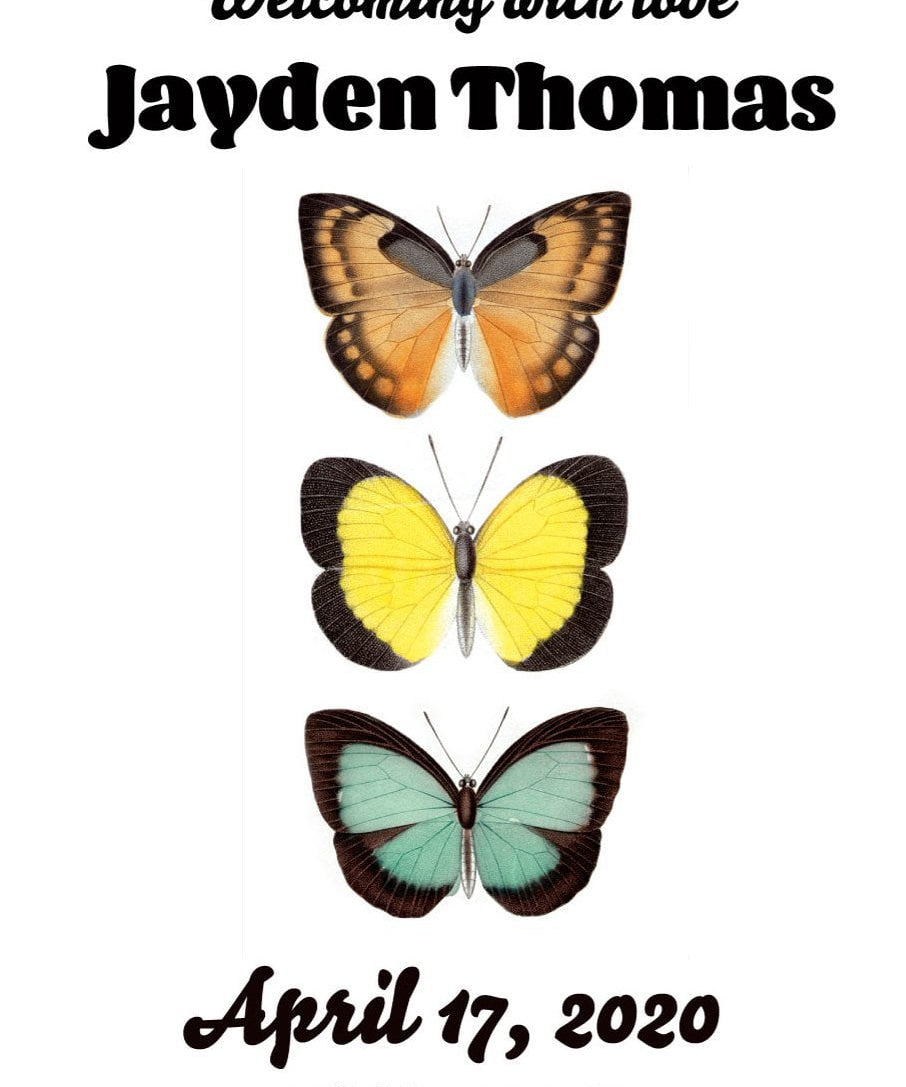 Pre-Designed Template - Butterflies Birth Announcement - Sow True Seed