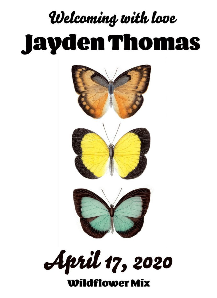 Pre-Designed Template - Butterflies Birth Announcement - Sow True Seed