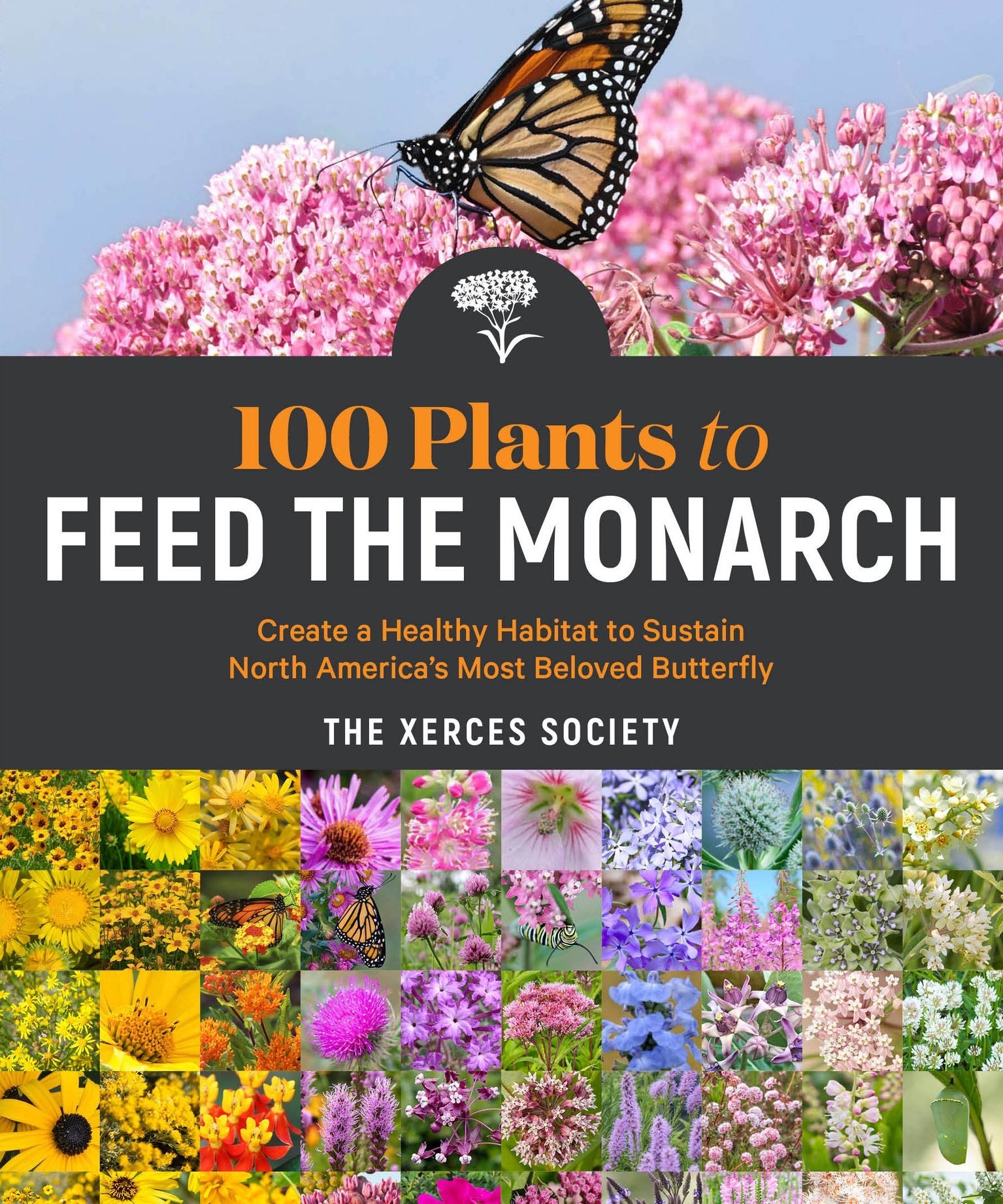 100 Plants to Feed the Monarch - Sow True Seed