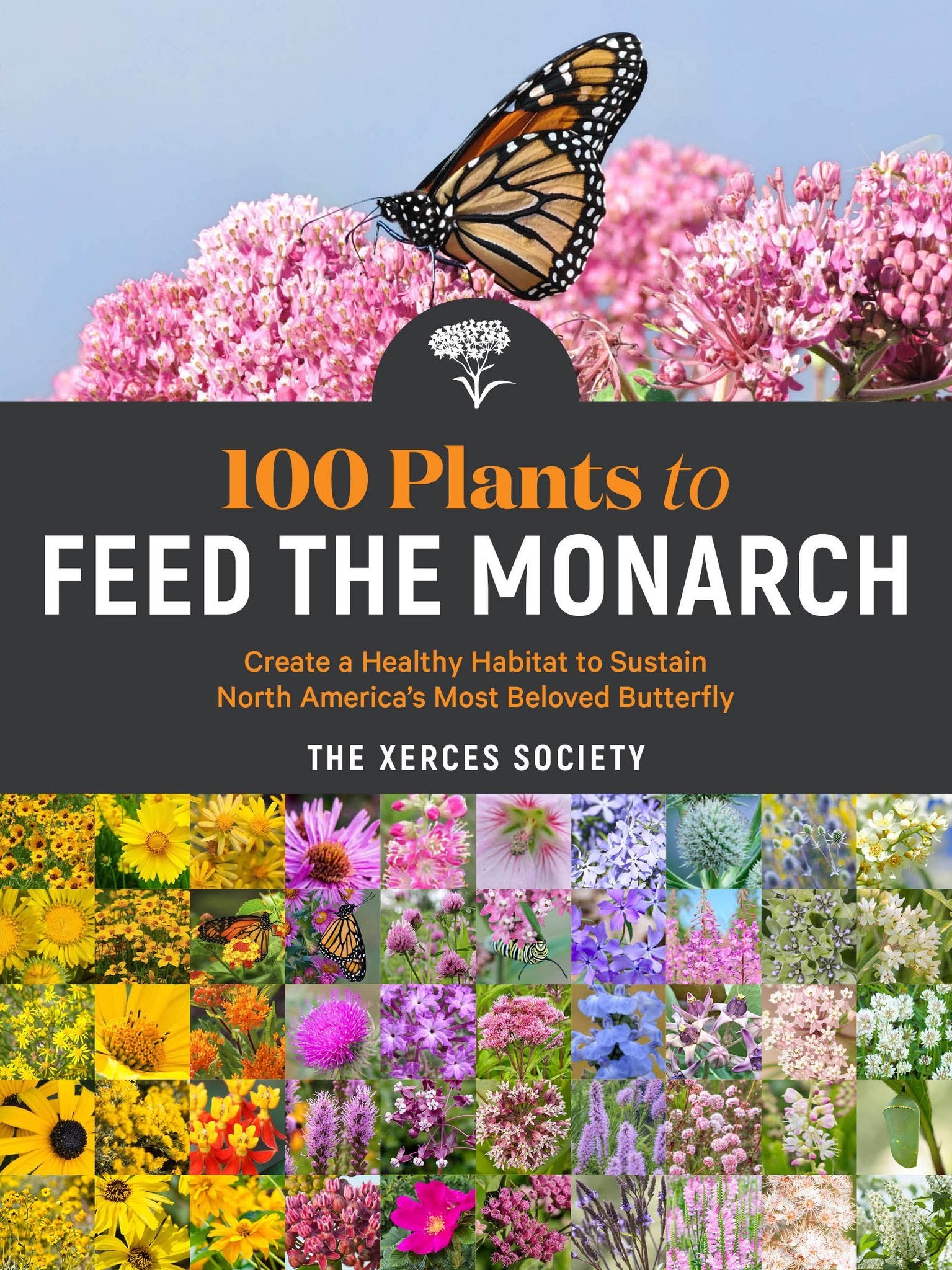 100 Plants to Feed the Monarch - Sow True Seed