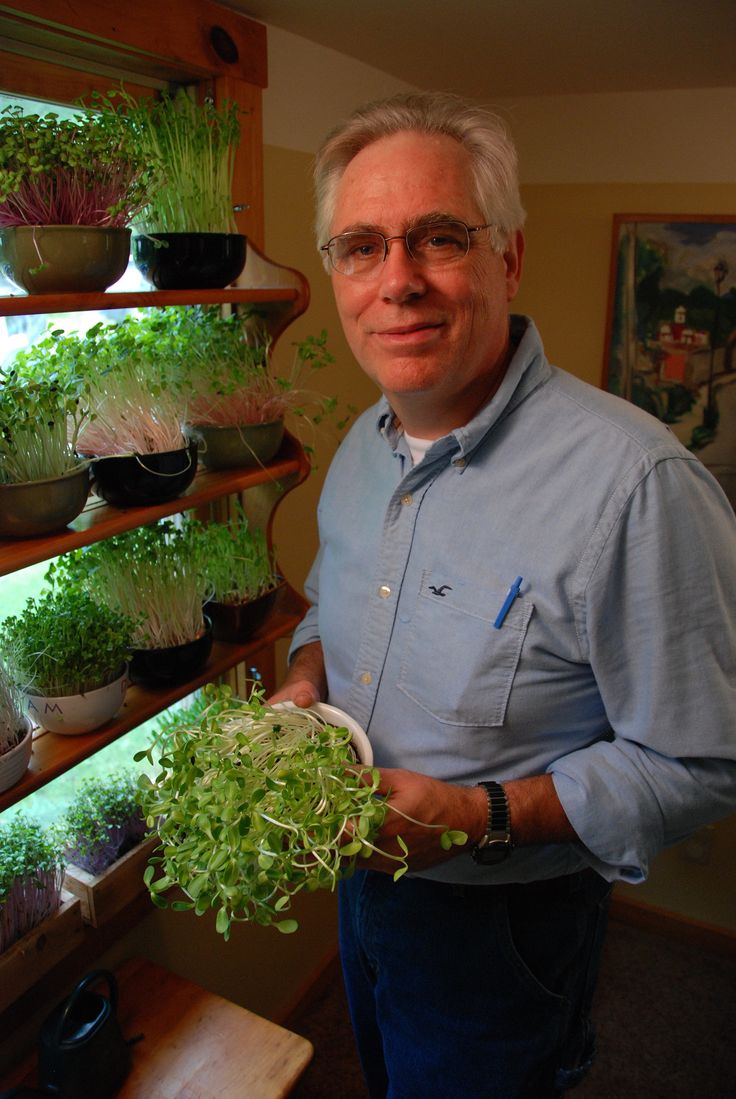 Year-Round Indoor Salad Gardening - Sow True Seed