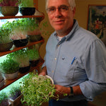 Year-Round Indoor Salad Gardening - Sow True Seed