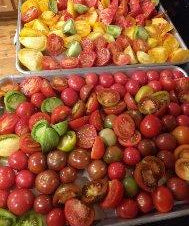 Cherry Tomato Seeds - Lost Marbles - Sow True Seed