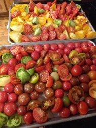 Cherry Tomato Seeds - Lost Marbles - Sow True Seed